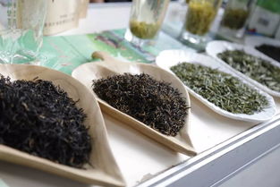超贊！中山扶貧展銷會圓滿落幕，300余種特色農產品備受青睞，食用農產品初加工成焦點
