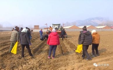 種地也能發財！撫寧人靠食用農產品初加工走穩致富路